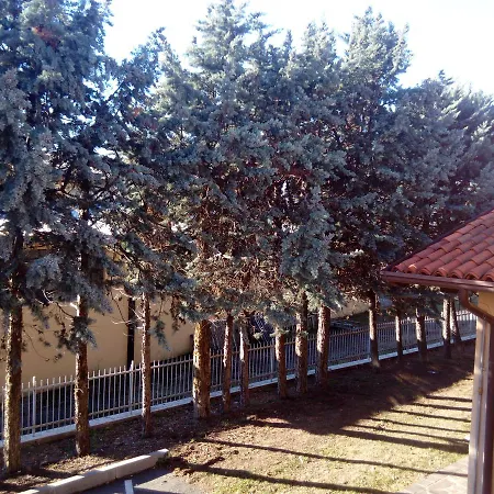 Artisti