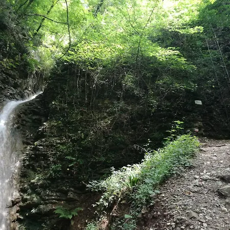 Artisti 오메
